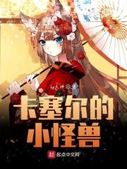 卡塞尔之