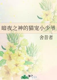 暗夜新宠