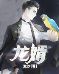 龙婿江辰唐楚楚找不到