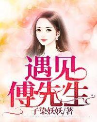 遇见 傅先生免费阅读