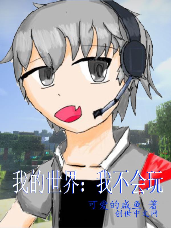 我不会语文但我会写我的世界