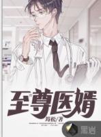 至尊医婿陆云苏晴雪全文免费阅读