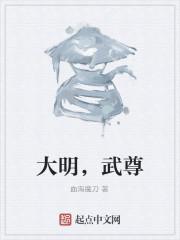 大明之武王