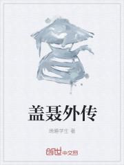 盖聂 h