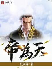 帝为天 星辰雨