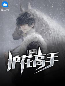 医品护花高手免费阅读全文