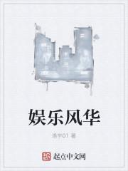 娱乐风华TXT完本
