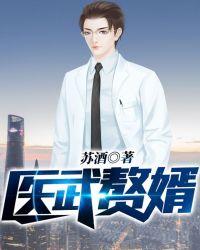医武赘婿类大全