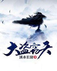 盗窃大案