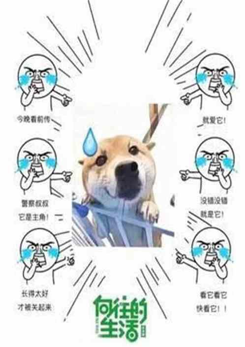 向往的生活之很宠妹阅读