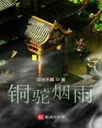 铜驼暮雨的图片