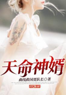 天命神婿陈昆仑全文免费阅读