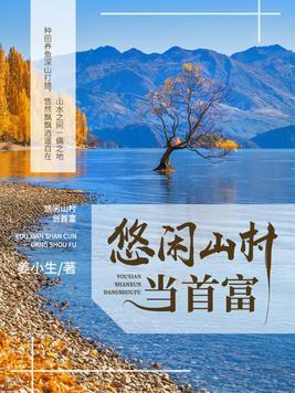山村大庄园