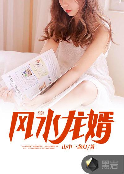 风水龙婿陈黄皮