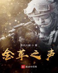 金革之患