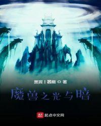 魔兽世界光与影之子