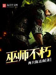 巫师不朽TXT奇书网