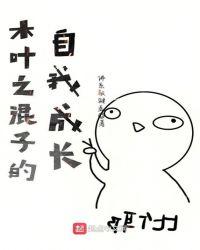 木叶之流氓