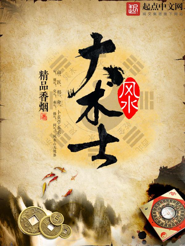 风水术士之类的