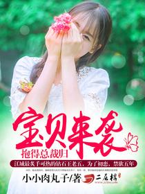 抱得老公归锦素流年