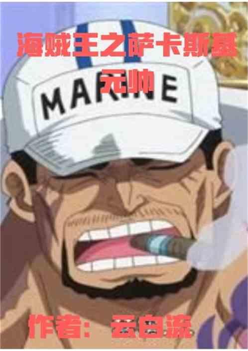海贼王萨卡是谁