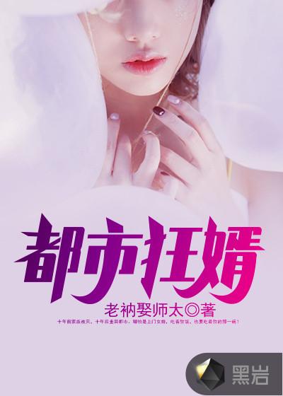 都市狂婿战