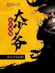 北宋最强大少爷全文
