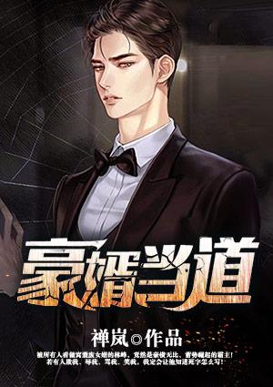 豪婿当道丁洛