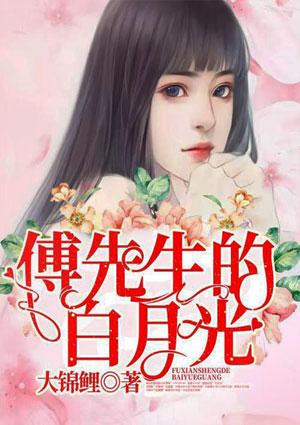 傅先生的白月光评论