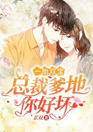 一胎双宝总裁爹地坏坏