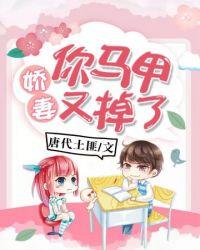 闪婚娇妻马甲快掉了