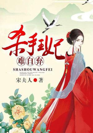 杀手皇妃txt