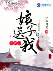 请上轿gl