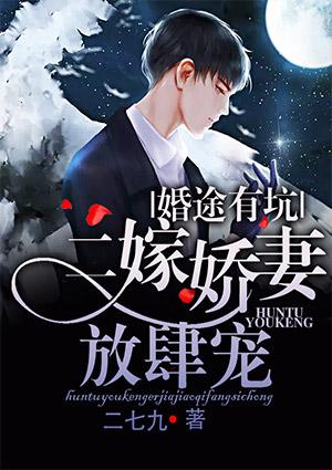 婚途有坑二嫁娇妻放肆宠 二七九