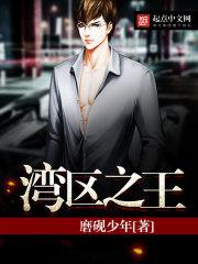 湾区之王笔趣阁无弹窗阅读