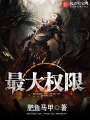 最大权限是什么意思