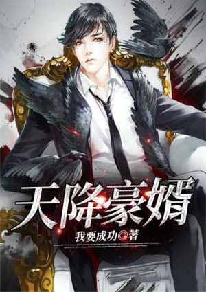 天降豪婿电视剧19集