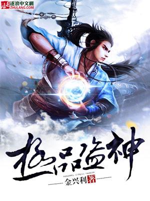 极品盗客无改