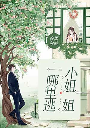 多面总裁by静亦txt
