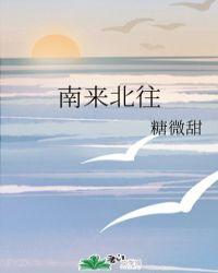南来北往热闹类比推理