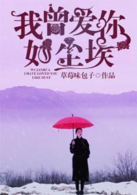 我曾爱你如尘埃顾流年