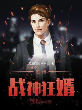 超级战神狂婿叶城