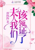 夫人我们领证吧全文免费