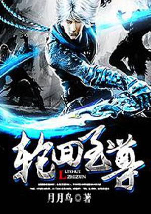 轮回至尊视频全集
