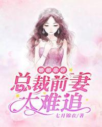 总裁前妻太难追 霍慎霆