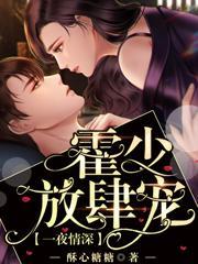 一夜情深霍少放肆爱
