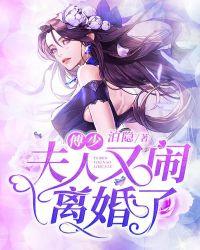 夫人又闹离婚了txt免费
