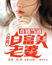 龙婿当道笔趣阁