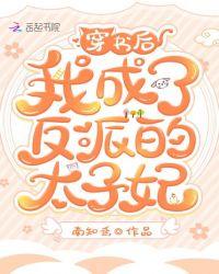 穿书后我成了反派的太子妃免费