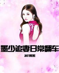 墨少追妻日常翻车免费阅读